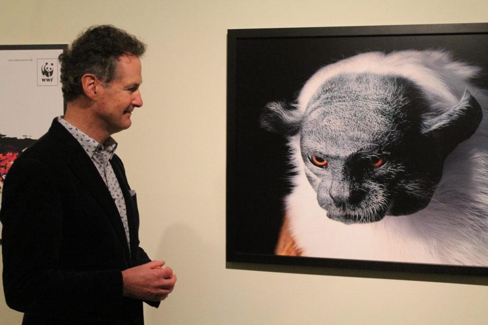 Tim Flach, fotógrafo de naturaleza presenta la muestra «Emociones en peligro»