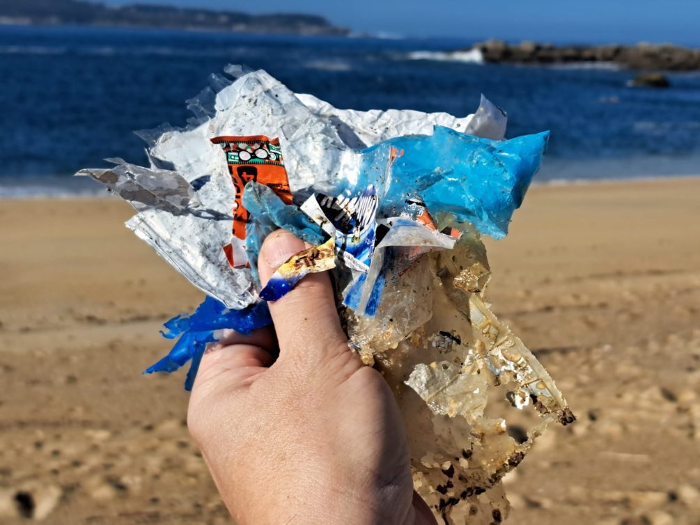 Presentación de resultados PLANCTON 2025 – Evento completo