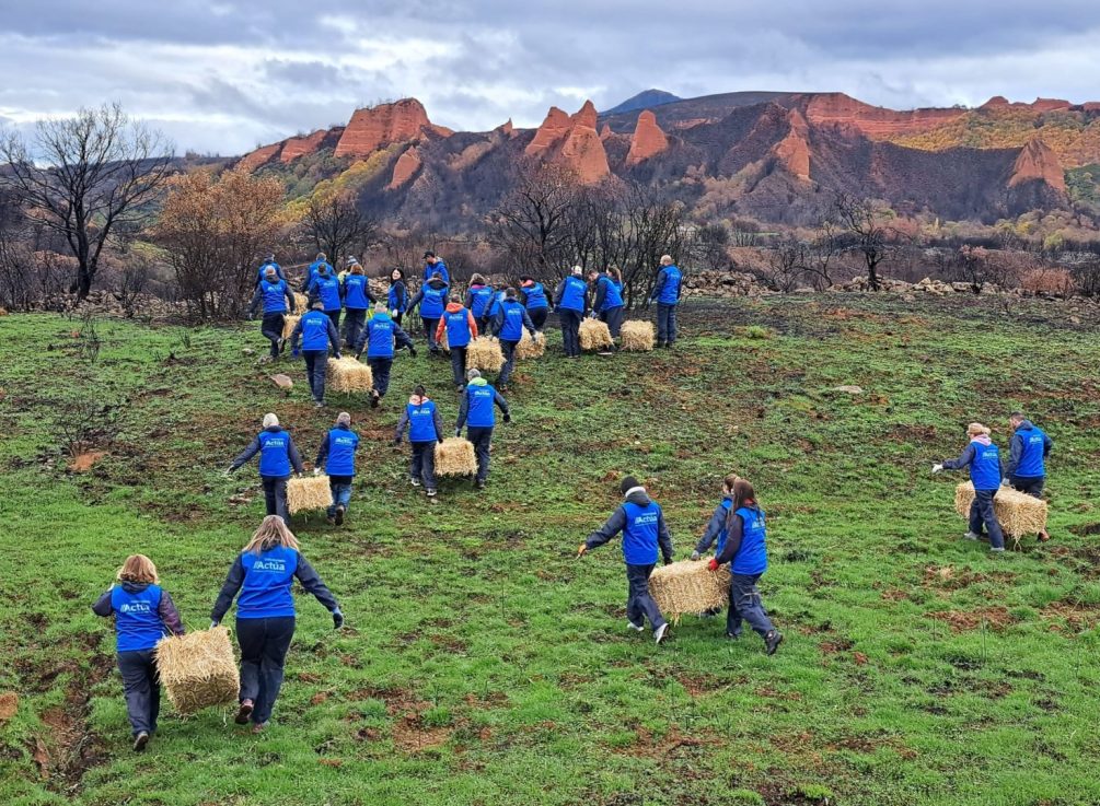 Jornada de voluntariado en el entorno de Las Médulas para proteger los suelos tras los incendios