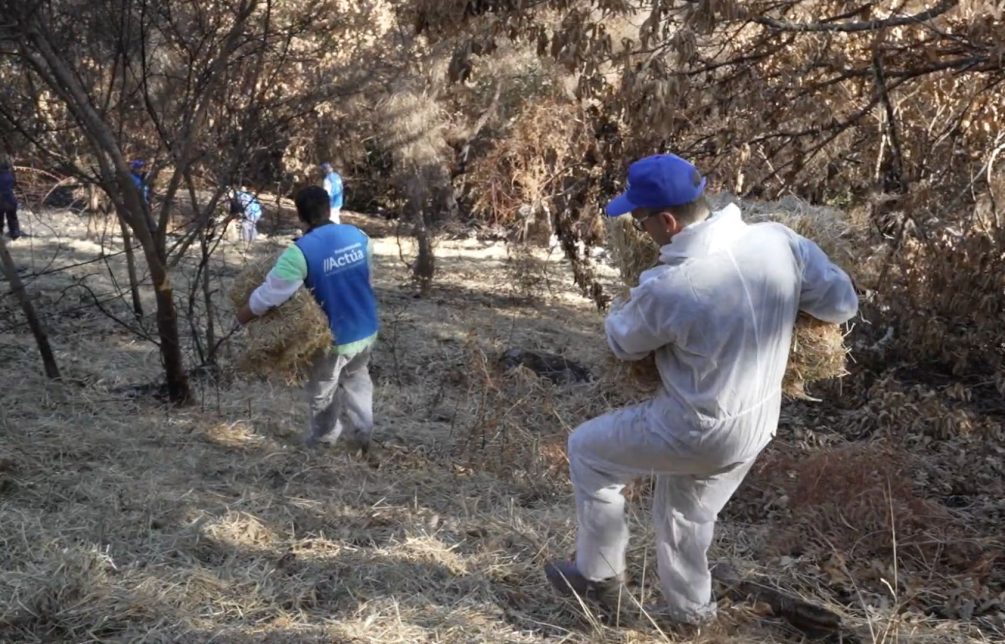 Jornada de voluntariado en Manzaneda para proteger los acuíferos afectados por los incendios