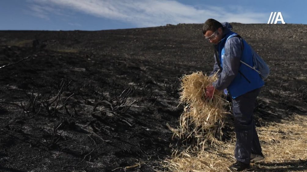 Jornada de voluntariado con estudiantes de UIE en A Corgavela para protección del suelo con la técnica del mulching