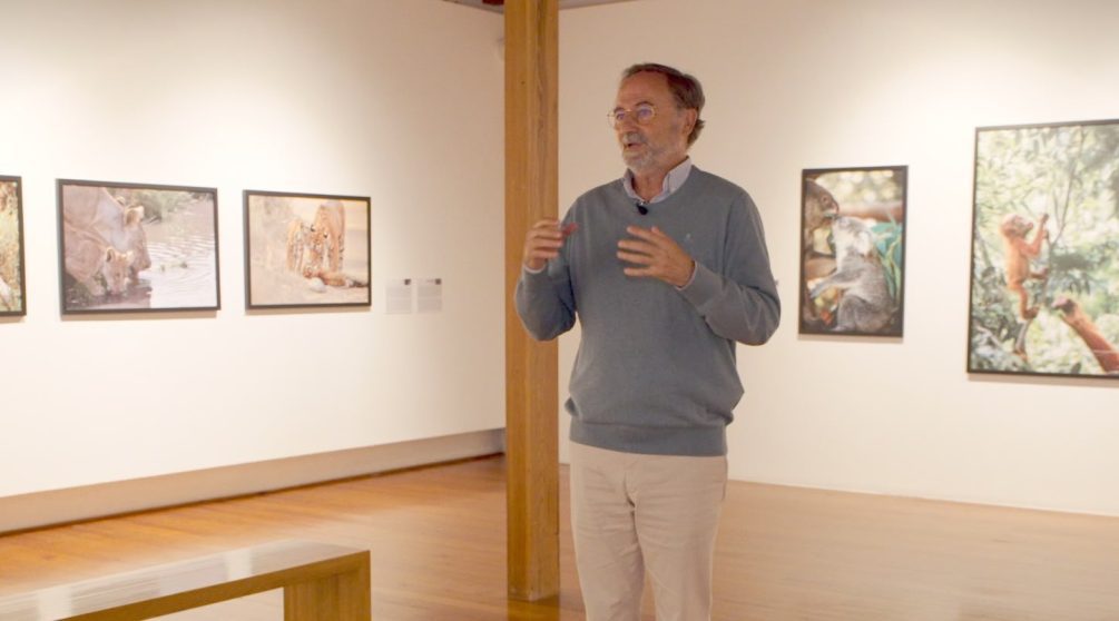 Descubrimos la exposición «¡Madre mía! Maternidades y crías en el mundo animal» con su comisario, Fernando González Sitges